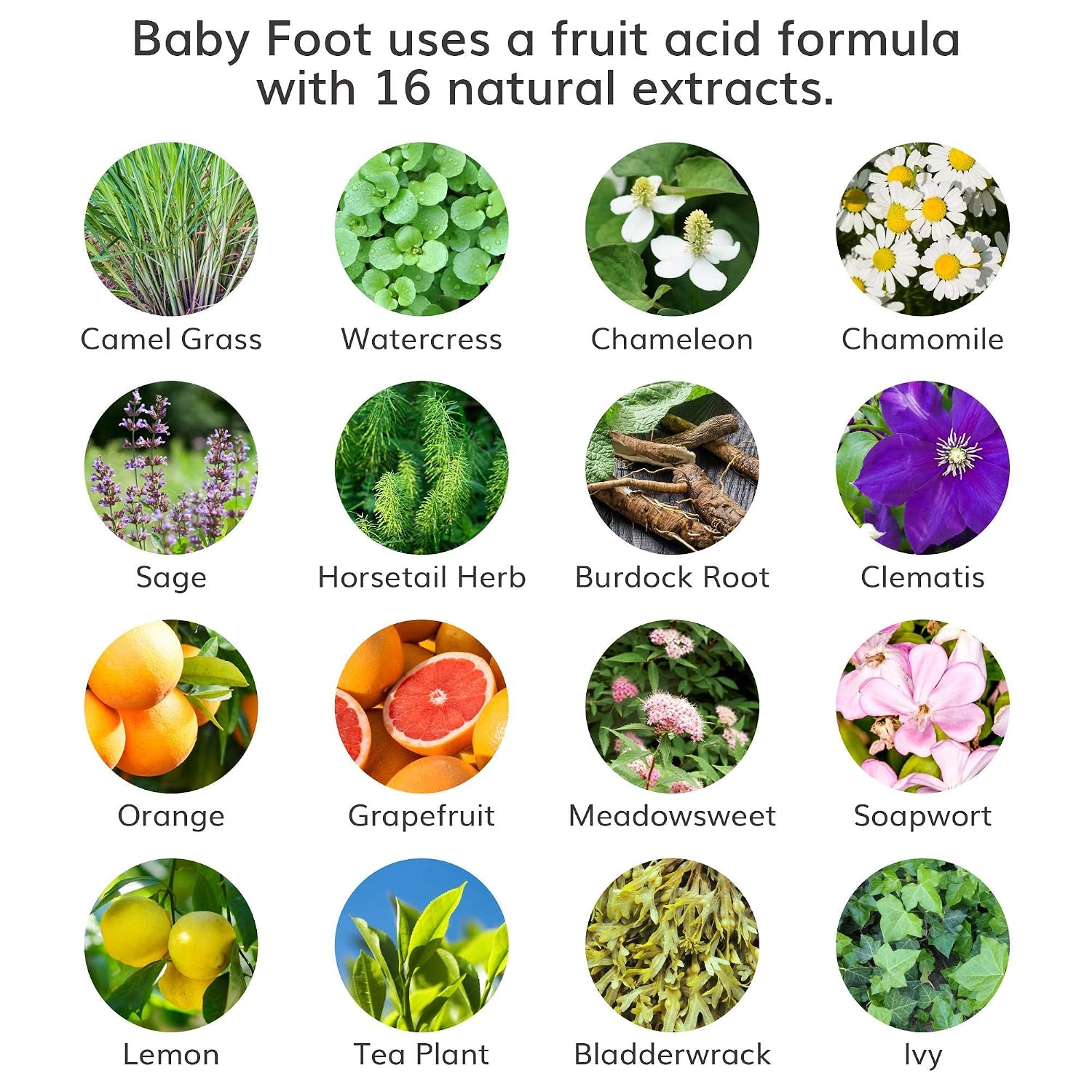 Exfoliating Foot Peel Mask Treatment Booties